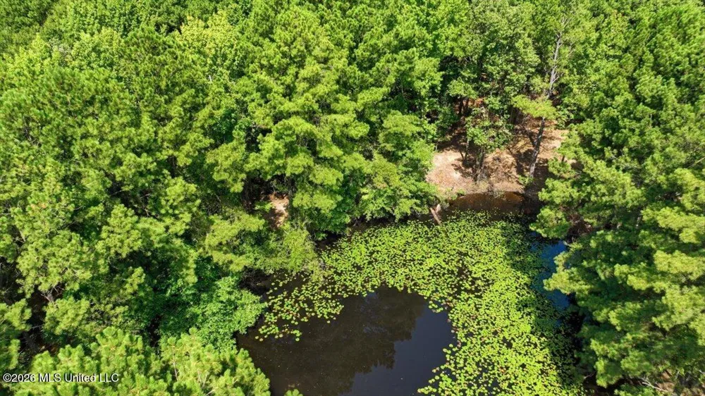 042 Potluck Road Canton, MS 39046
