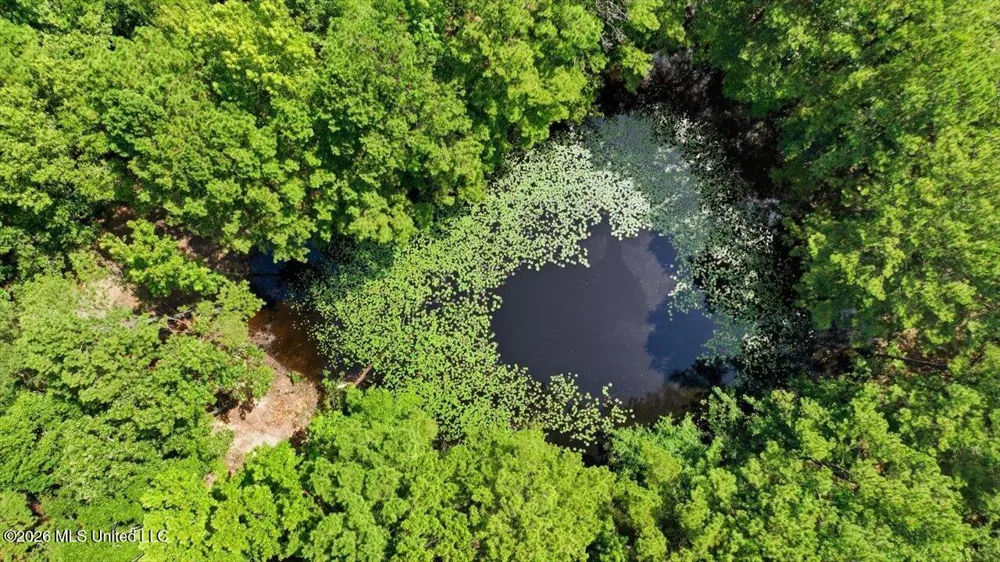 042 Potluck Road Canton, MS 39046