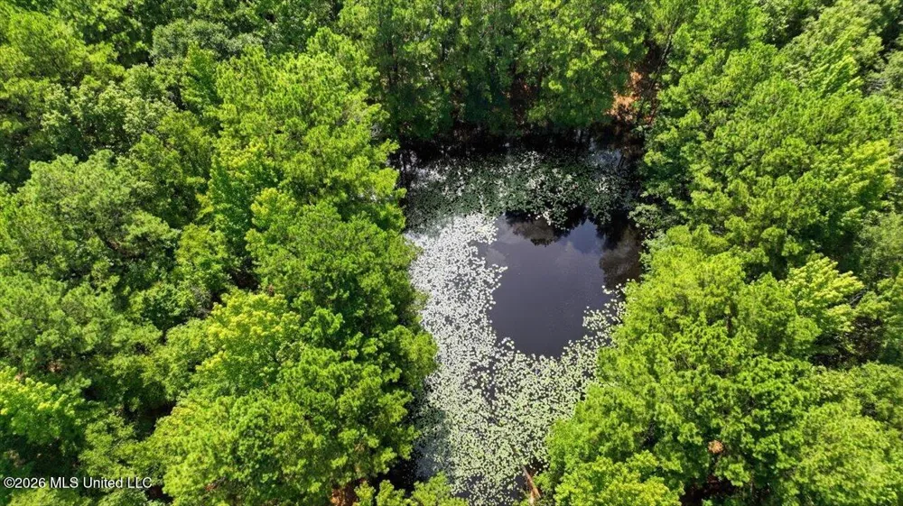 042 Potluck Road Canton, MS 39046