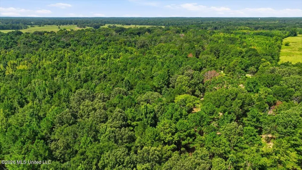 042 Potluck Road Canton, MS 39046