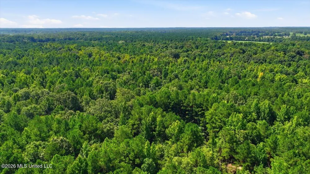 042 Potluck Road Canton, MS 39046