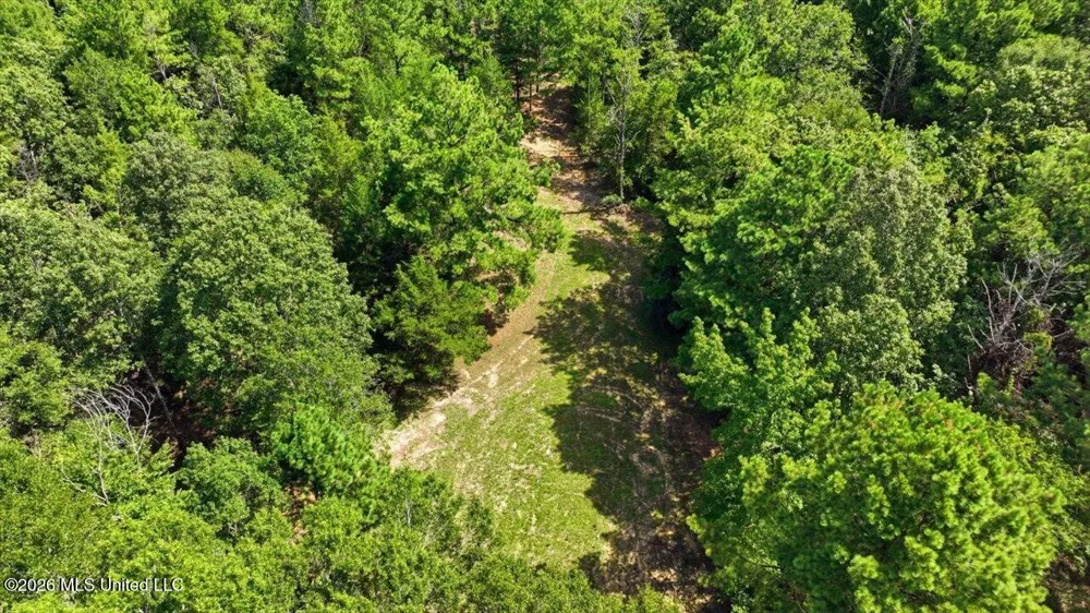 042 Potluck Road Canton, MS 39046