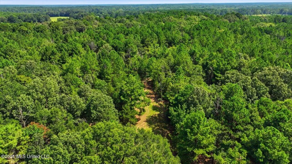 042 Potluck Road Canton, MS 39046