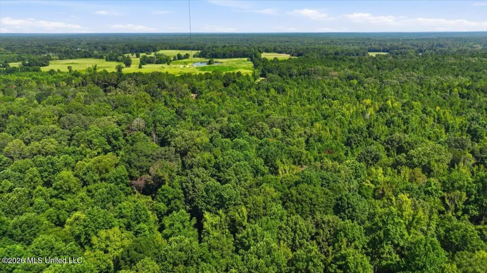 042 Potluck Road Canton, MS 39046