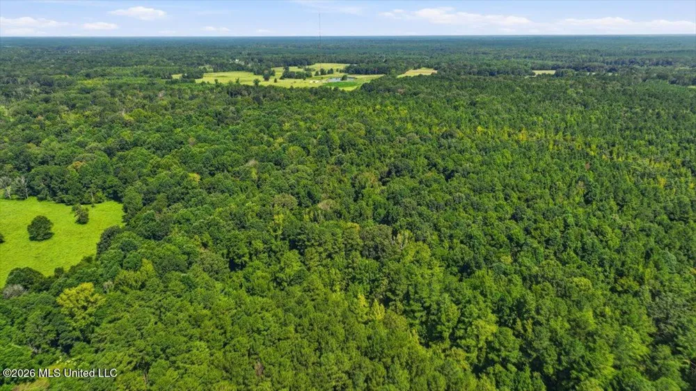 042 Potluck Road Canton, MS 39046