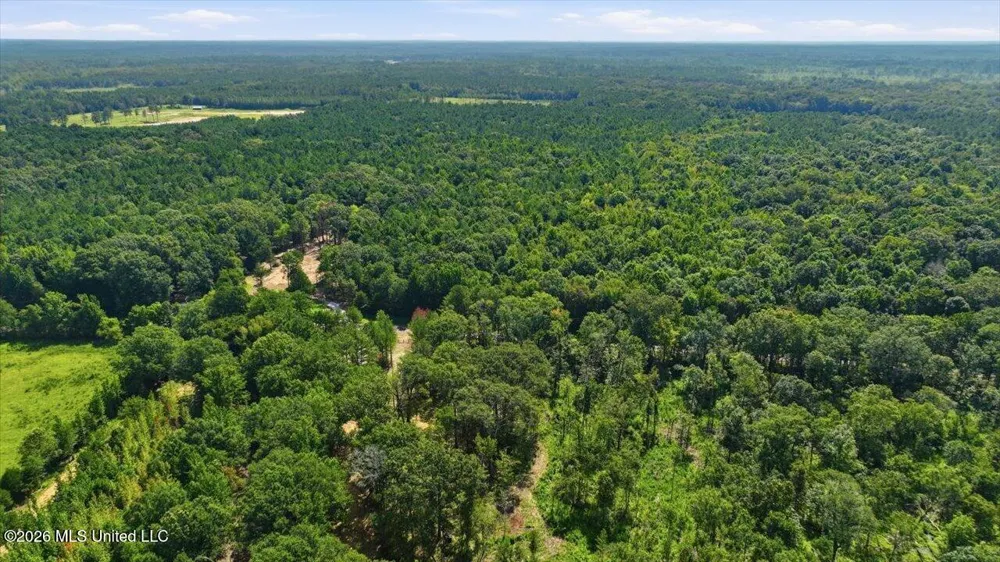 042 Potluck Road Canton, MS 39046