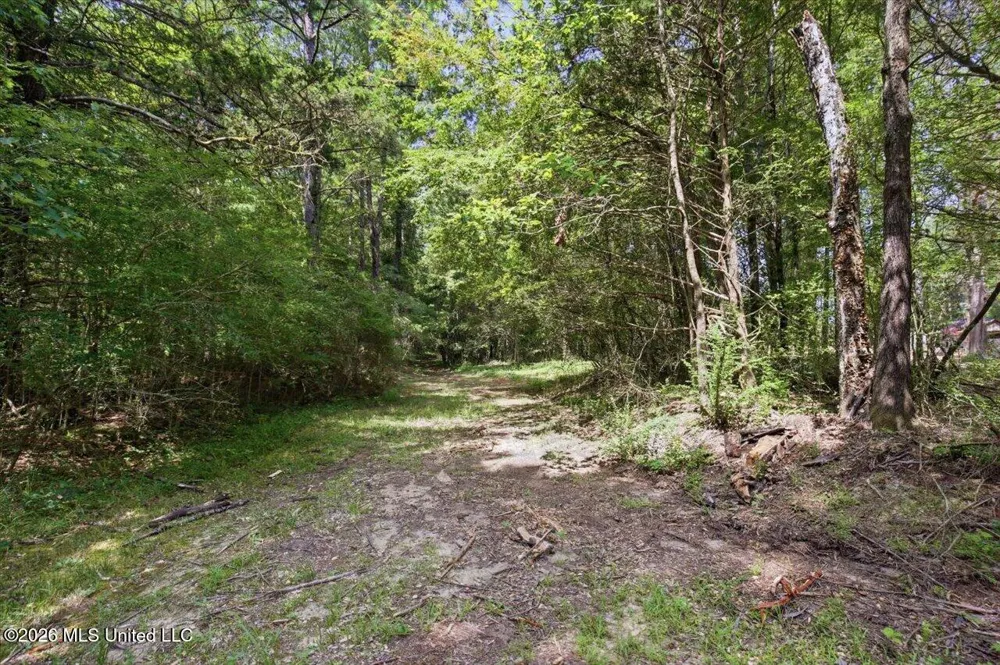 042 Potluck Road Canton, MS 39046