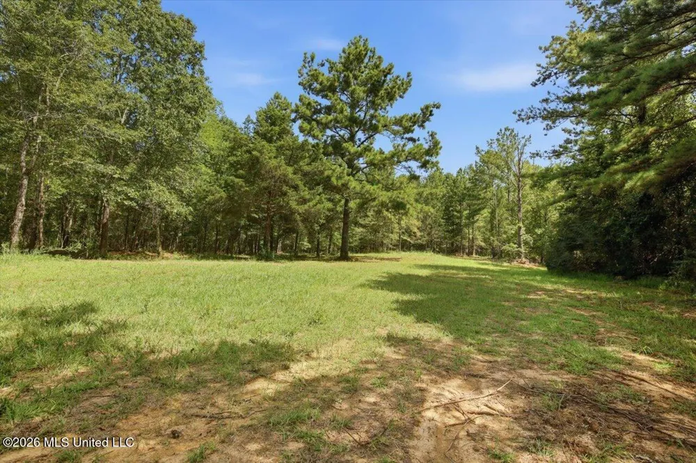 042 Potluck Road Canton, MS 39046