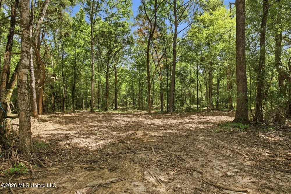 042 Potluck Road Canton, MS 39046