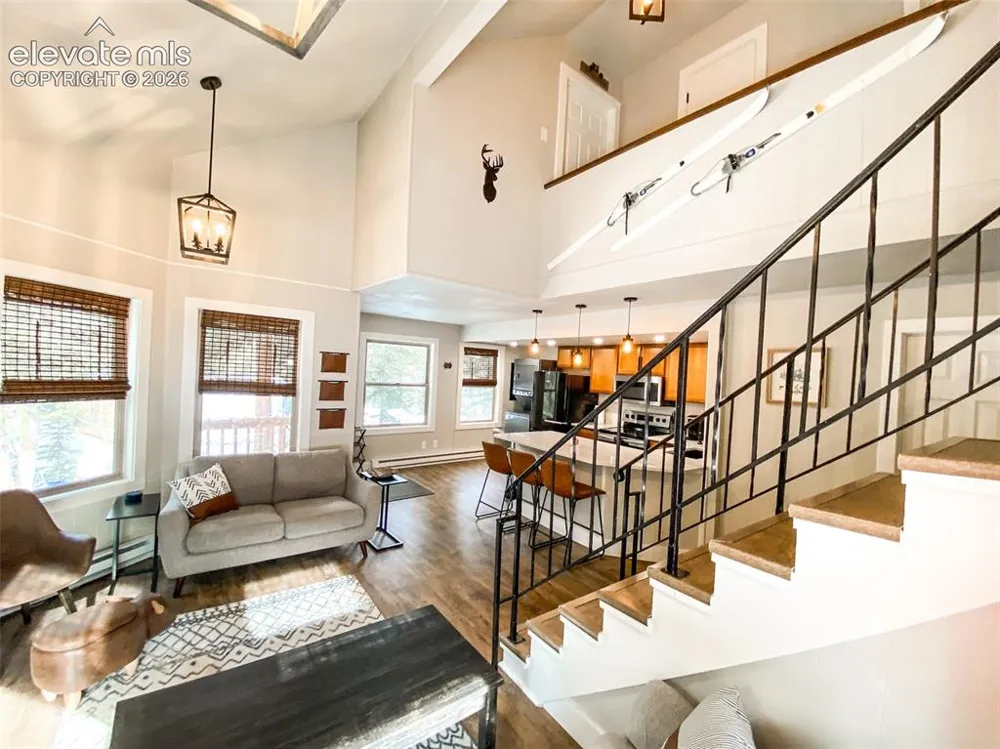193 Range Road #1 Breckenridge, CO 80424