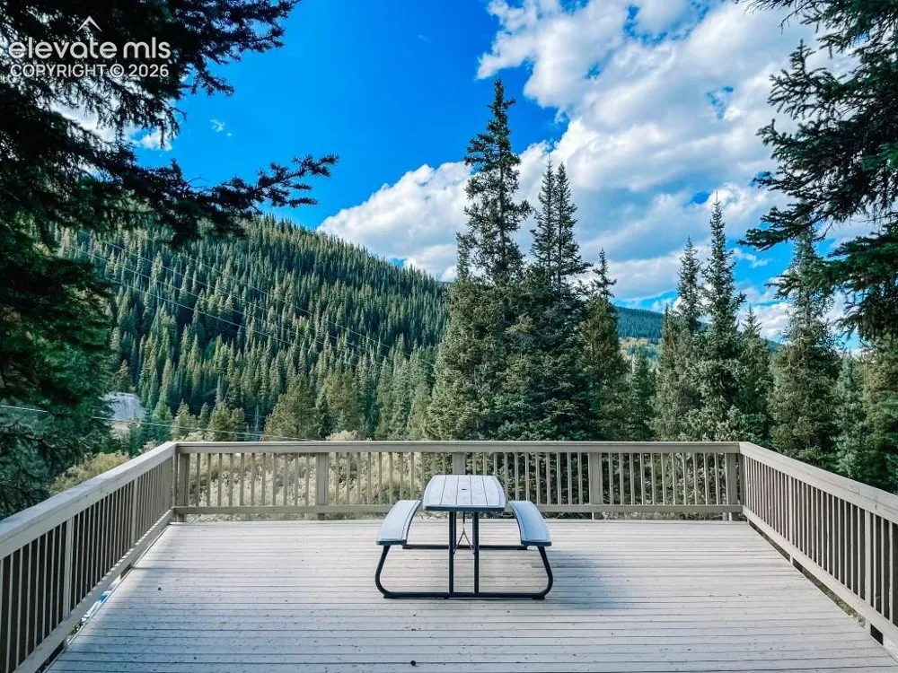 193 Range Road #1 Breckenridge, CO 80424