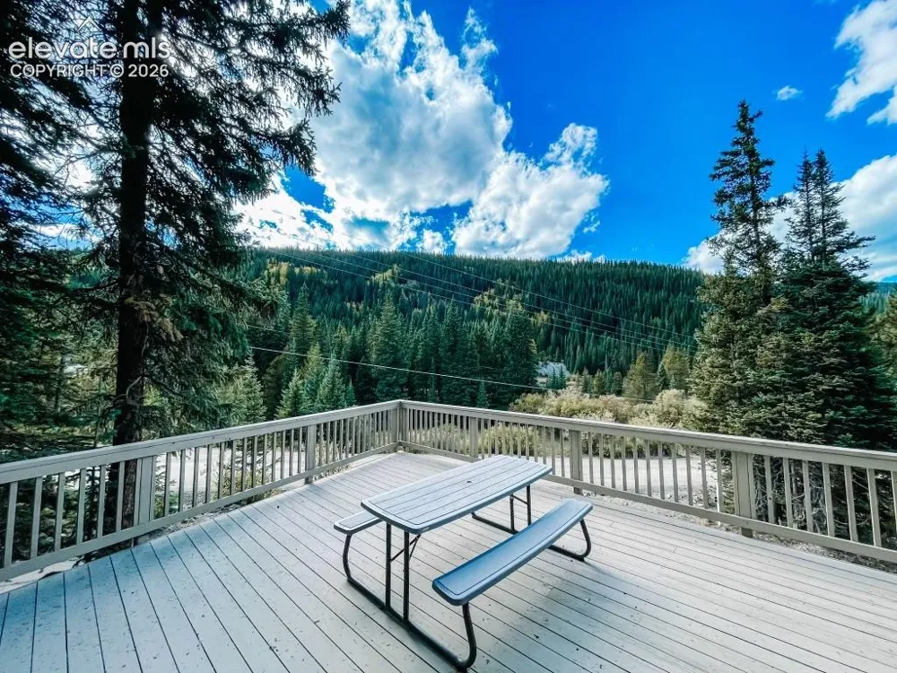 193 Range Road #1 Breckenridge, CO 80424