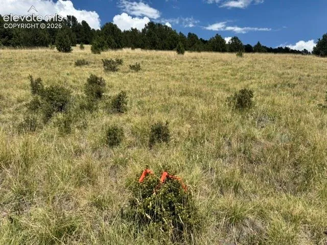 unknown Road Cripple Creek, CO 80813