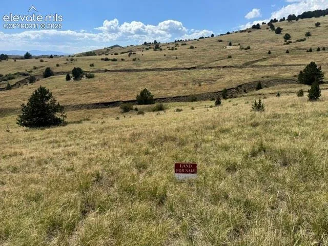 unknown Road Cripple Creek, CO 80813