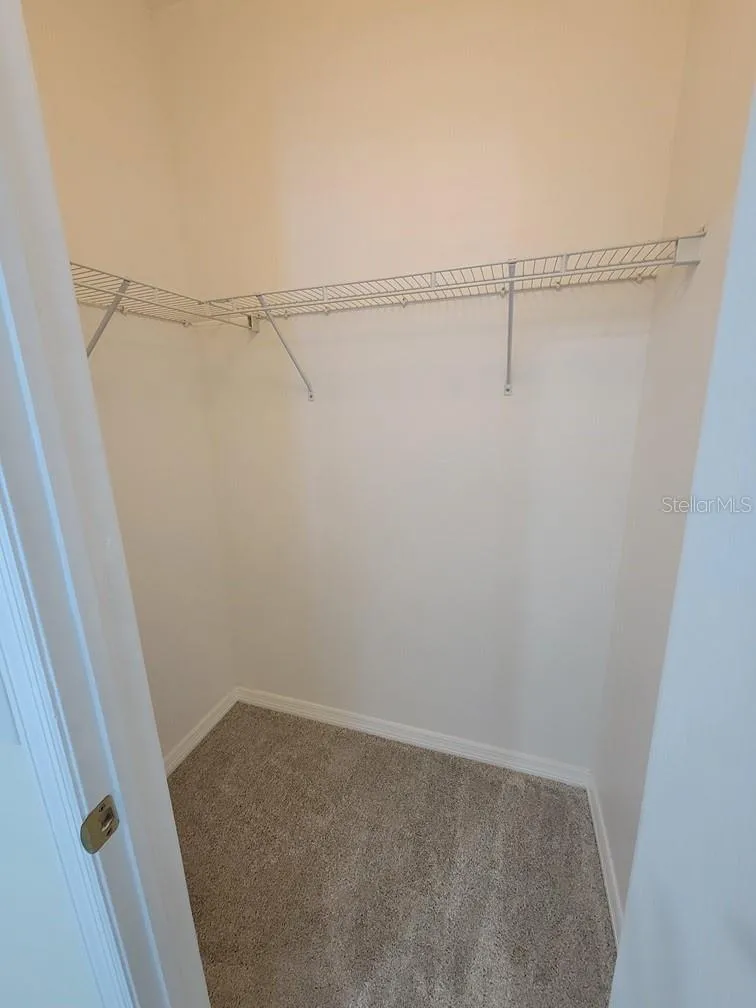 16414 SWAN VIEW CIRCLE #16414 Odessa, FL 33556