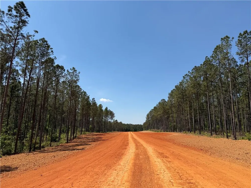 1000 Hidden Harbor Road Lincolnton, GA 30817