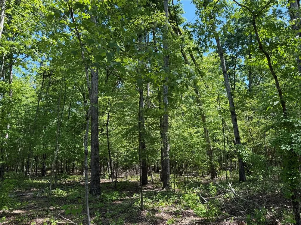 1000 Hidden Harbor Road Lincolnton, GA 30817