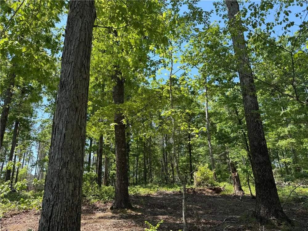 1000 Hidden Harbor Road Lincolnton, GA 30817