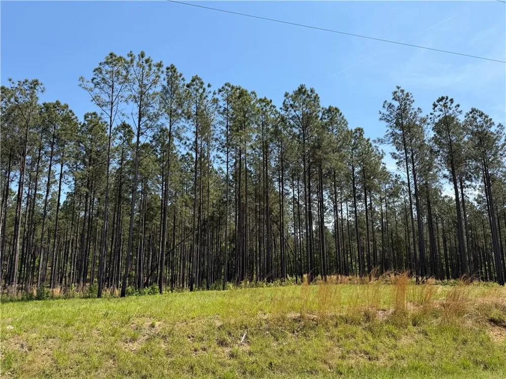 1000 Hidden Harbor Road Lincolnton, GA 30817