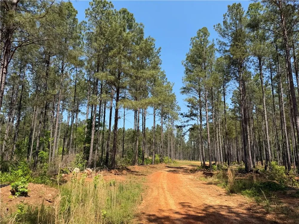 1000 Hidden Harbor Road Lincolnton, GA 30817