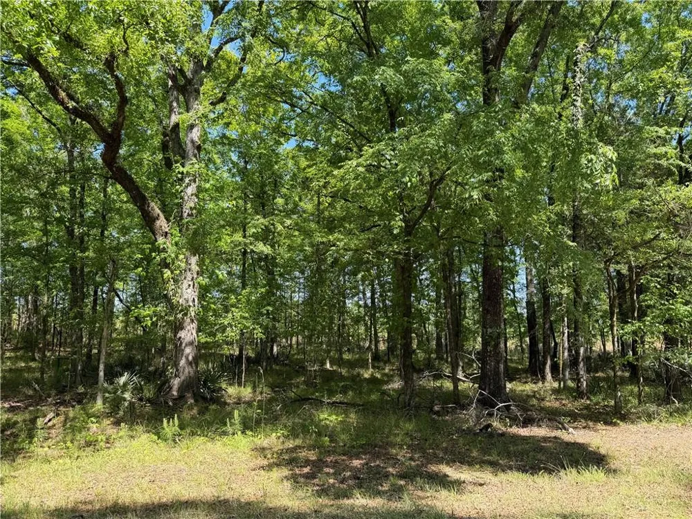 1000 Hidden Harbor Road Lincolnton, GA 30817
