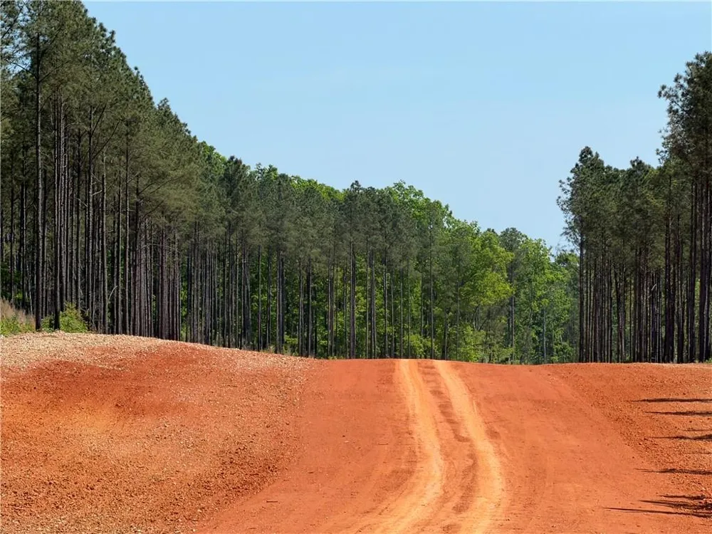 1000 Hidden Harbor Road Lincolnton, GA 30817