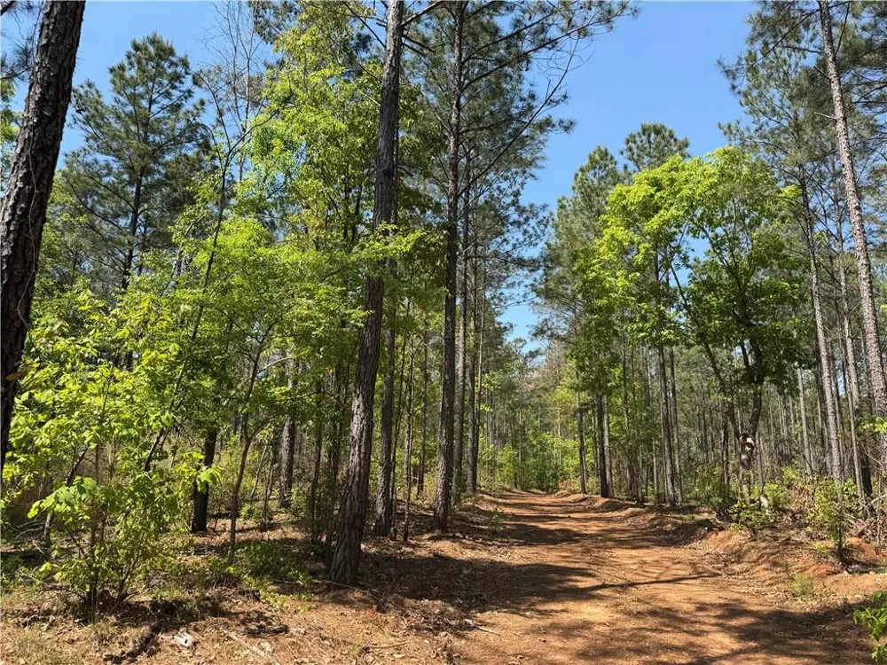 1000 Hidden Harbor Road Lincolnton, GA 30817
