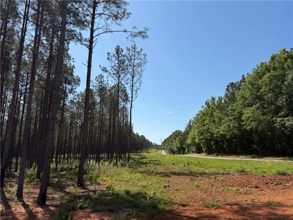 1000 Hidden Harbor Road Lincolnton, GA 30817