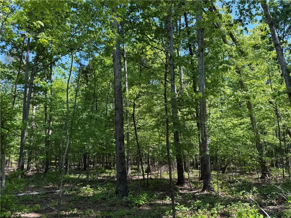 1000 Hidden Harbor Road Lincolnton, GA 30817