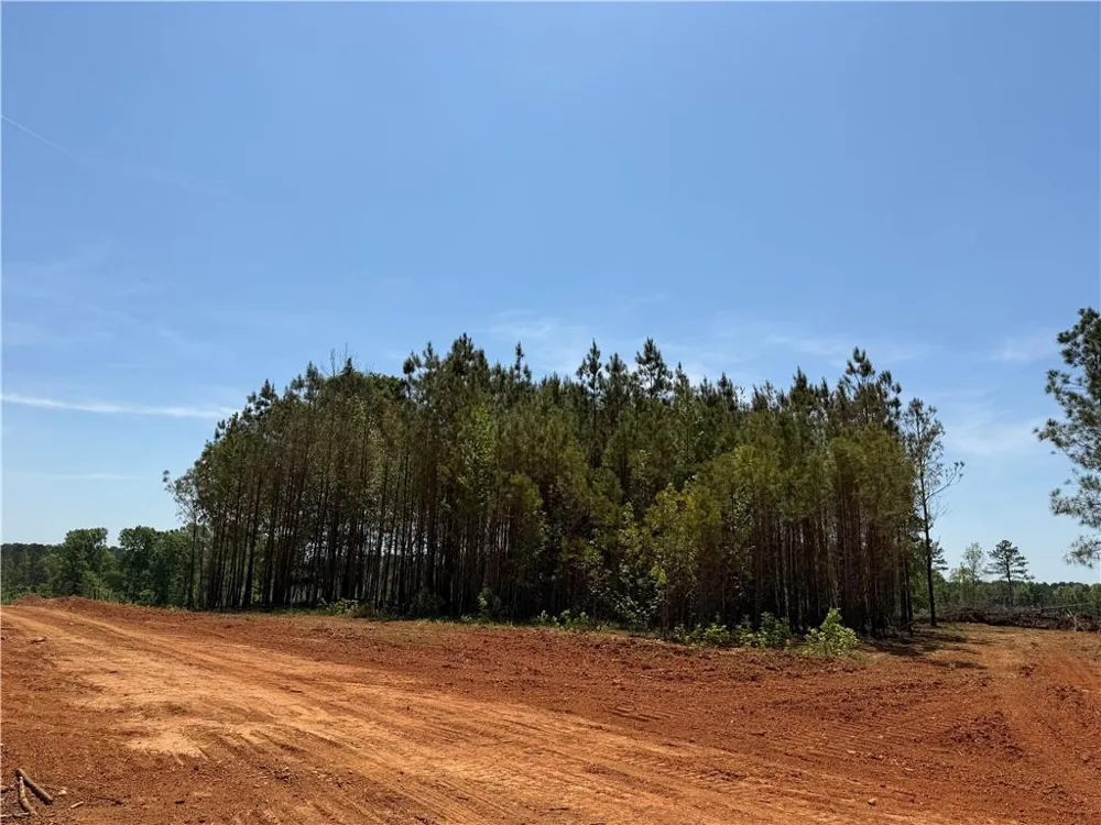 1000 Hidden Harbor Road Lincolnton, GA 30817