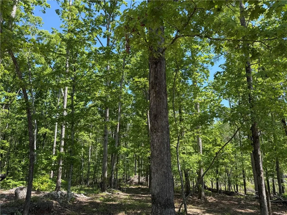 1000 Hidden Harbor Road Lincolnton, GA 30817
