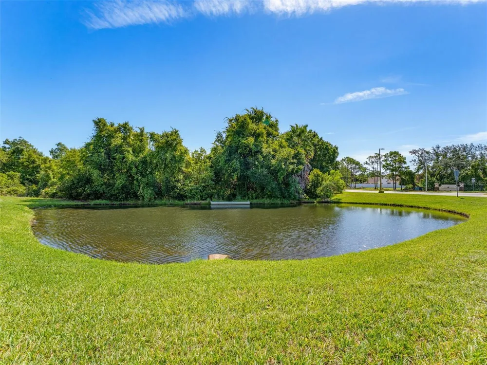 2542 SANDY HILL COURT Holiday, FL 34691