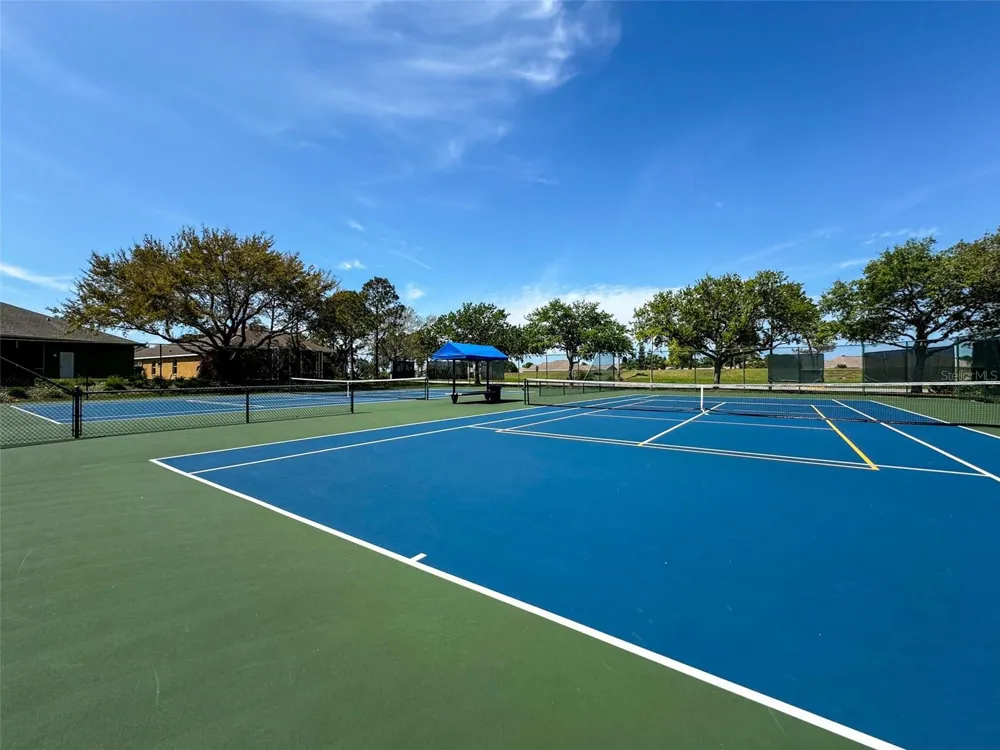 2542 SANDY HILL COURT Holiday, FL 34691