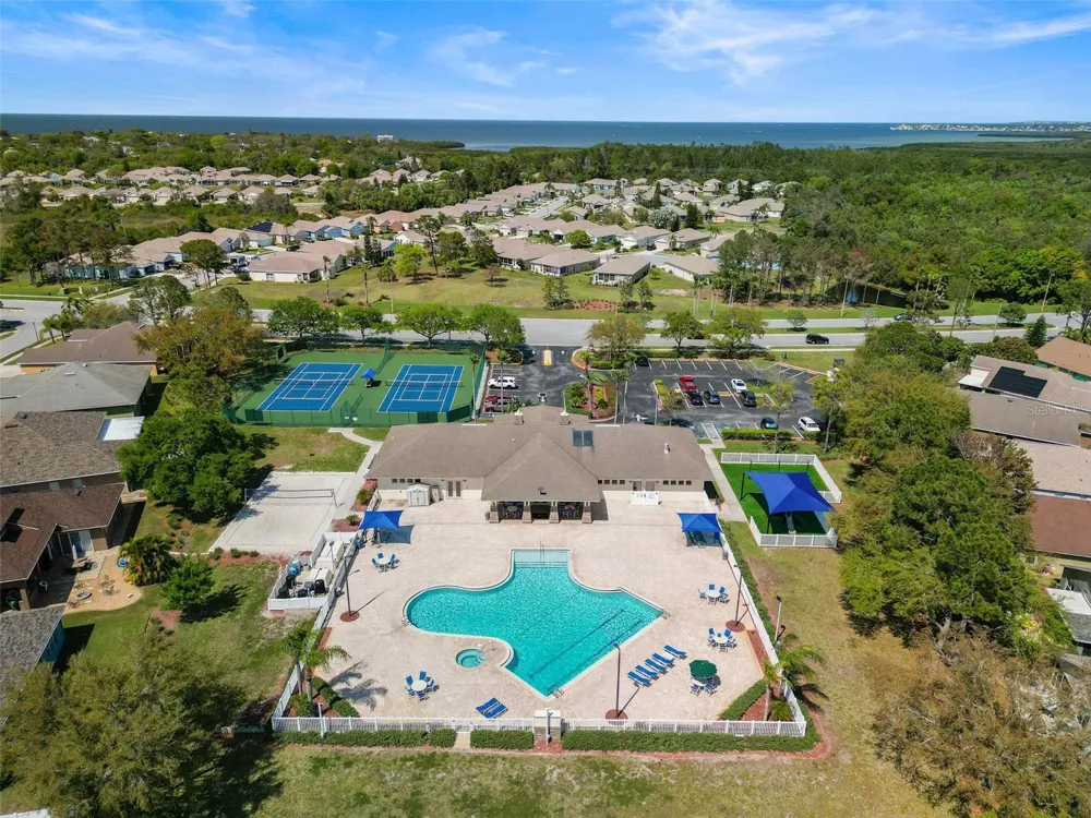 2542 SANDY HILL COURT Holiday, FL 34691