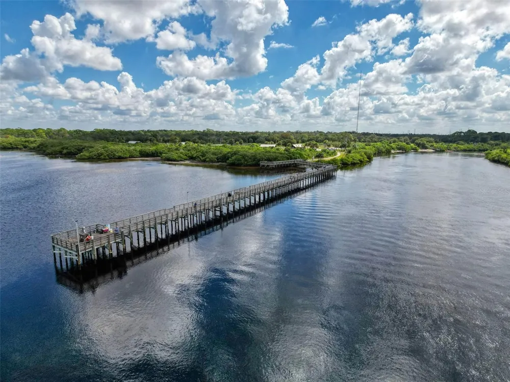2542 SANDY HILL COURT Holiday, FL 34691