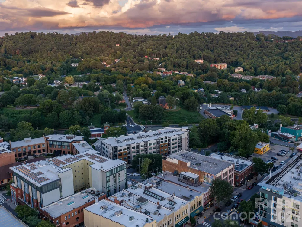 55 S Market Street #515 Asheville, NC 28801