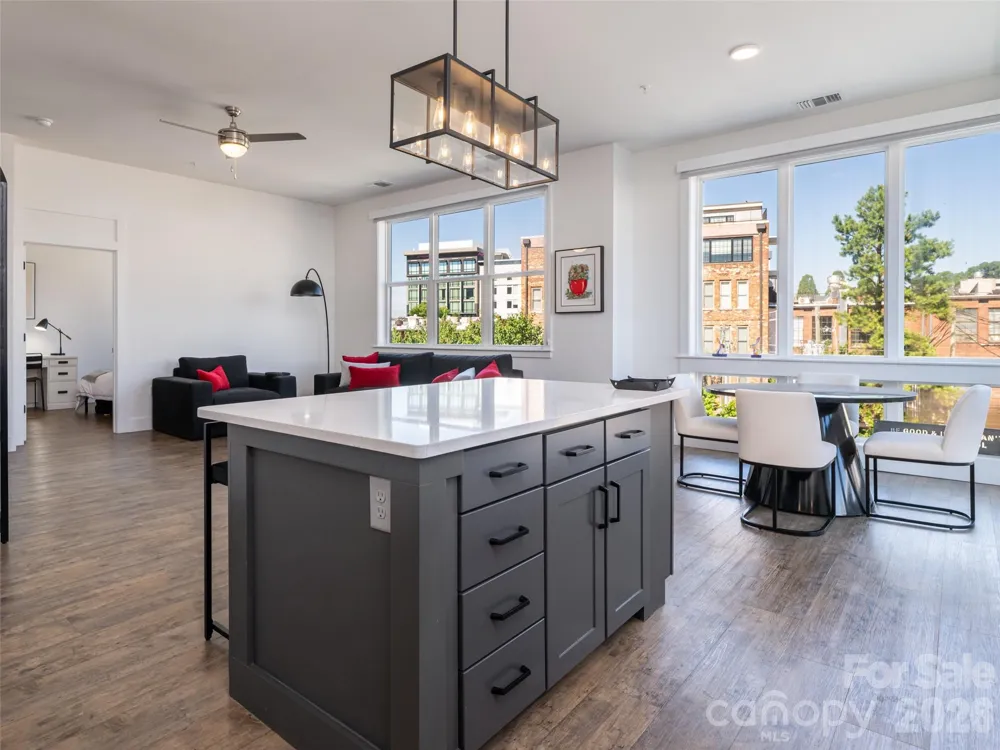 55 S Market Street #515 Asheville, NC 28801