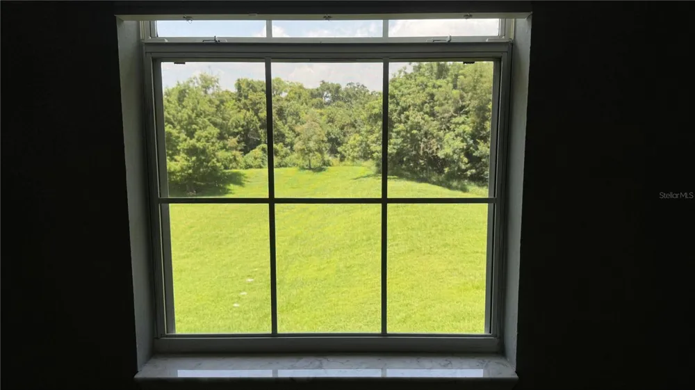 234 SOUTHERN PECAN CIRCLE #202 Winter Garden, FL 34787