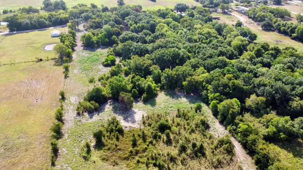 15 Greenbriar Road Madisonville, TX 77864