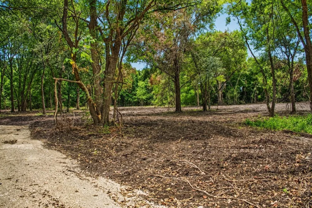 15 Greenbriar Road Madisonville, TX 77864