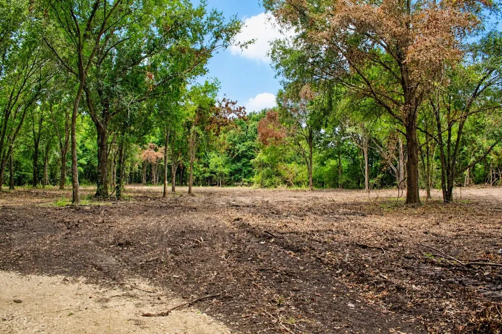 15 Greenbriar Road Madisonville, TX 77864