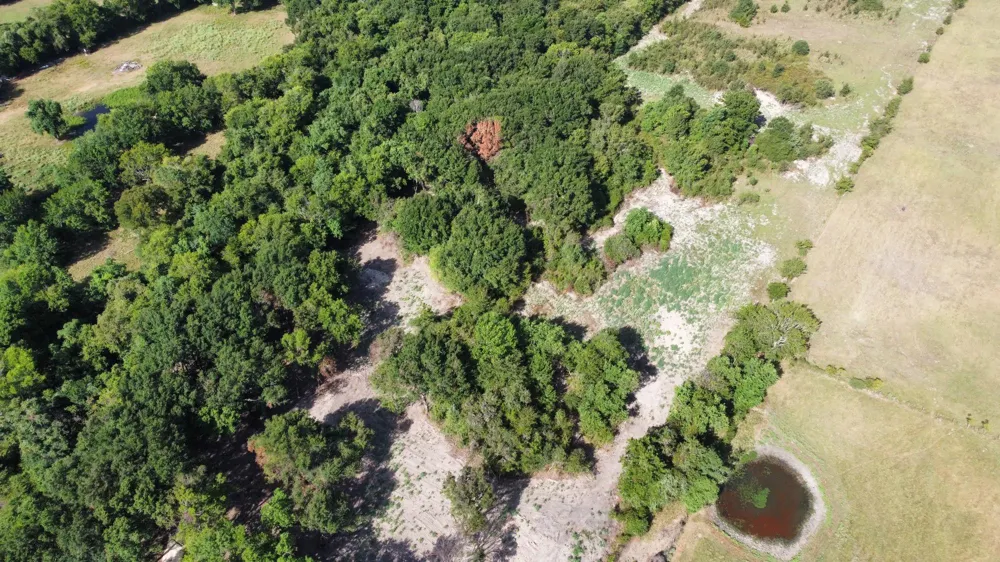 15 Greenbriar Road Madisonville, TX 77864