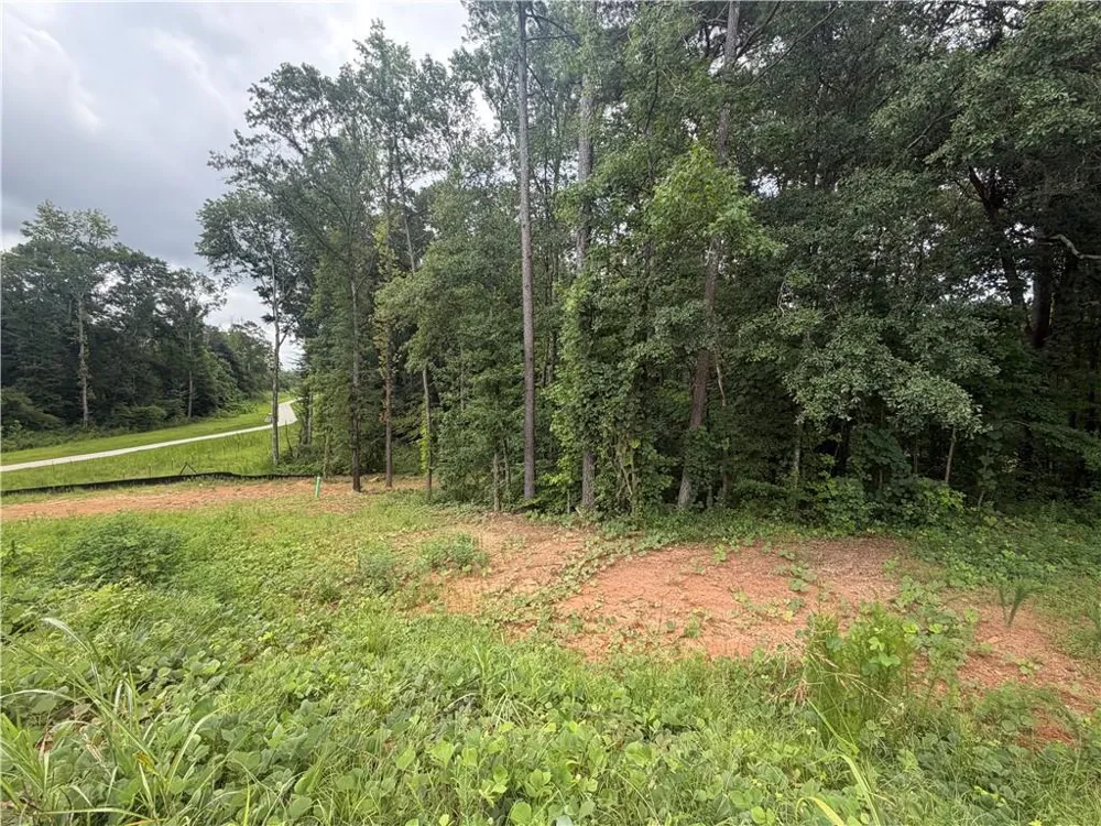 1680 Kilcrease Road Bethlehem, GA 30620