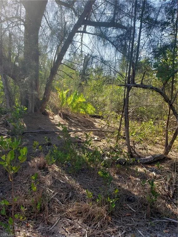 Masters Landing Drive St. James City, FL 33956