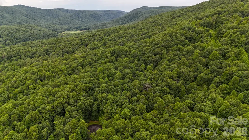 364 & 365 Big Bear Trail #23/24 Zirconia, NC 28790