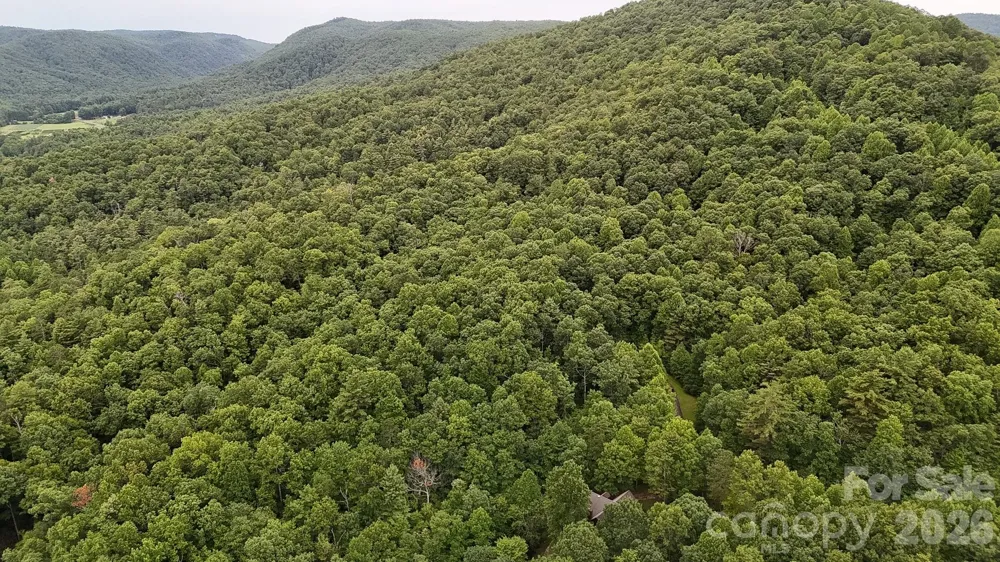 364 & 365 Big Bear Trail #23/24 Zirconia, NC 28790