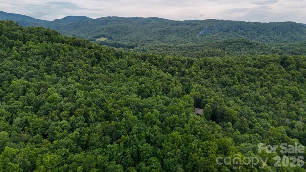364 & 365 Big Bear Trail #23/24 Zirconia, NC 28790