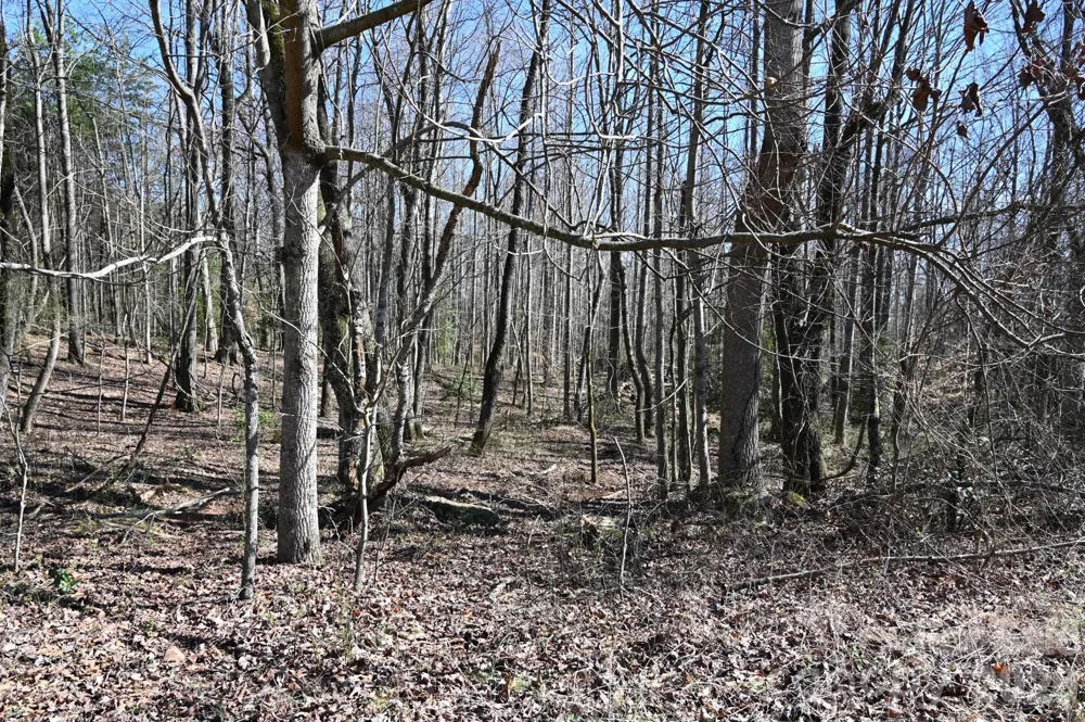 1188 Camp Creek Road Hickory, NC 28602