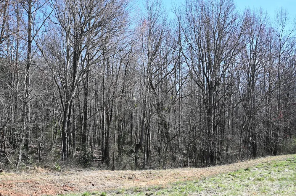 1188 Camp Creek Road Hickory, NC 28602