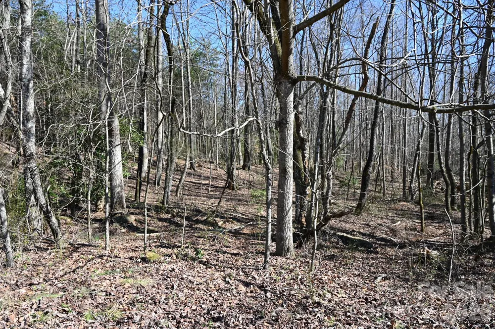 1188 Camp Creek Road Hickory, NC 28602
